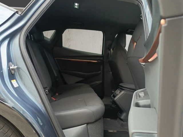 Imagen de cupra Tavascan