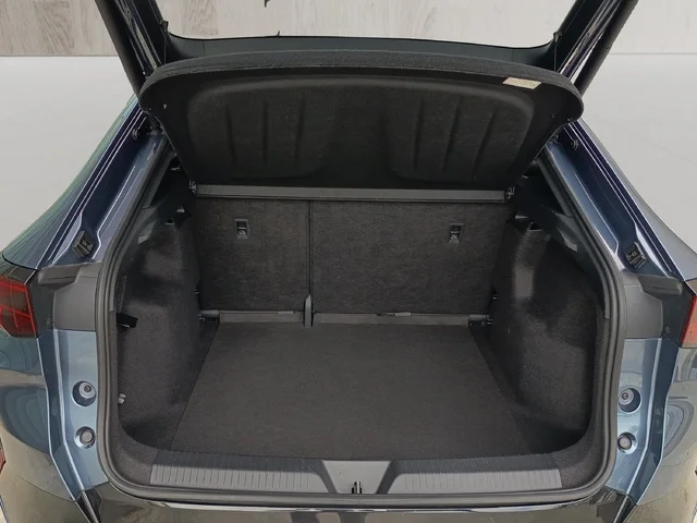 Imagen de cupra Tavascan