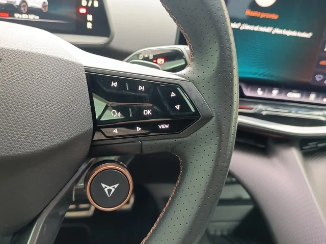 Imagen de cupra Tavascan