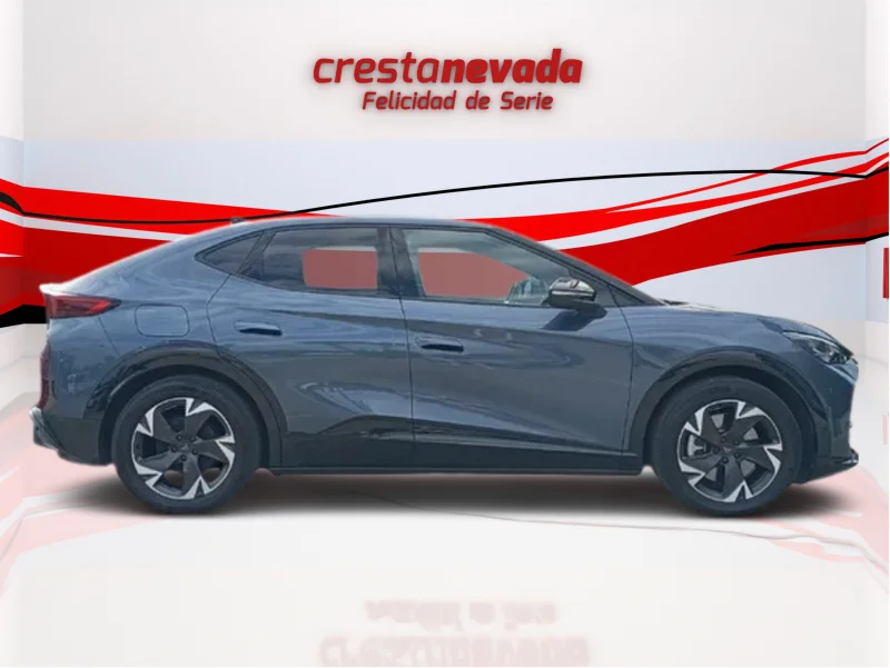 Imagen de cupra Tavascan