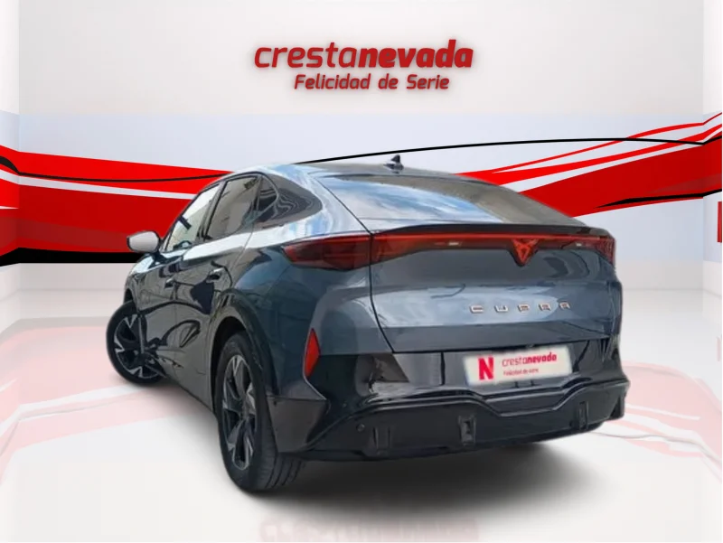 Imagen de cupra Tavascan