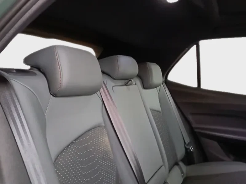 Imagen de cupra Born