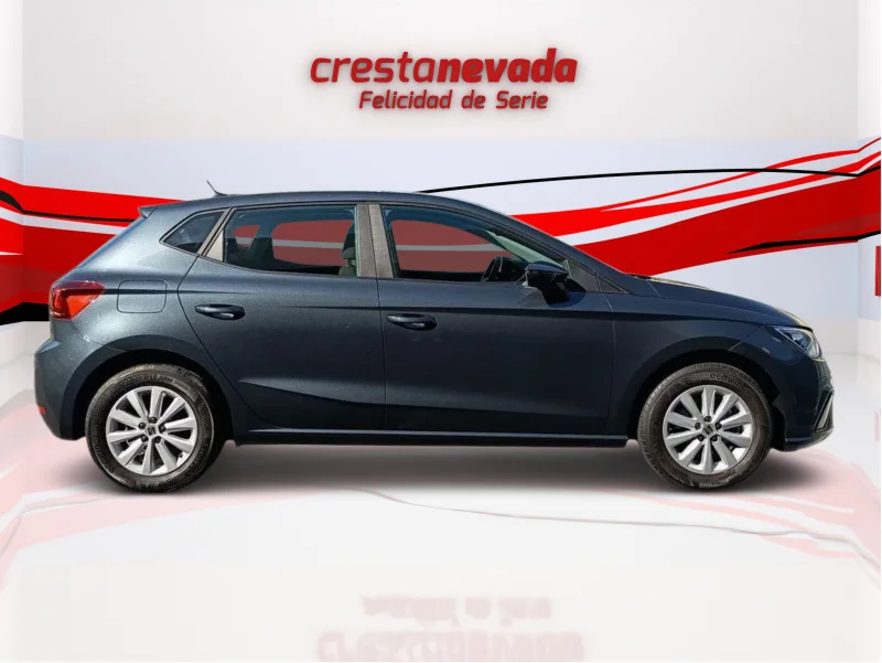 Imagen de SEAT Ibiza