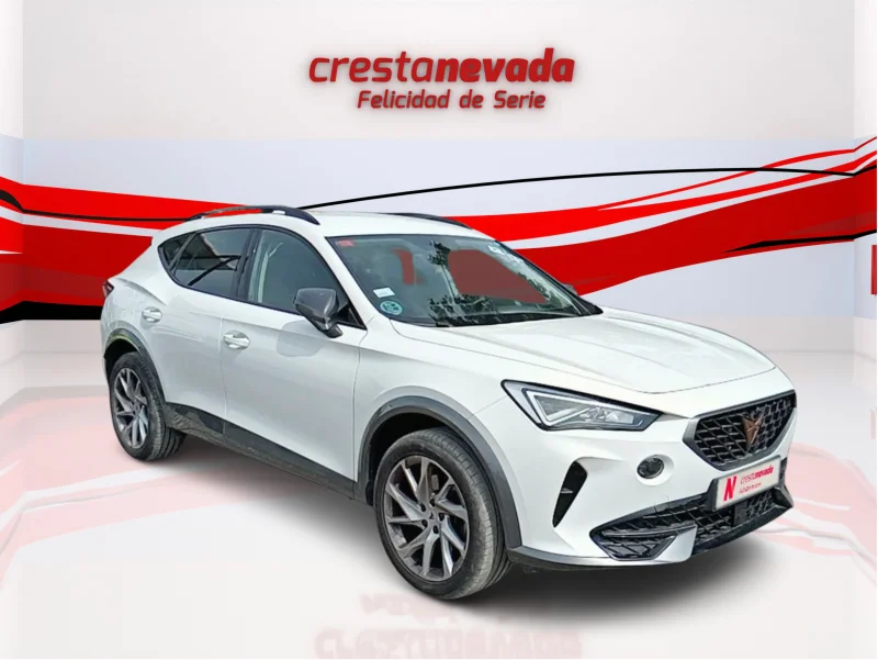 Imagen de cupra Formentor