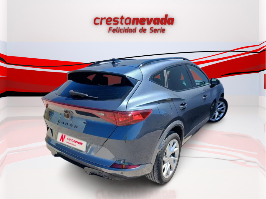 Imagen de cupra Formentor