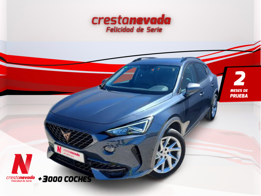 Imagen de cupra Formentor