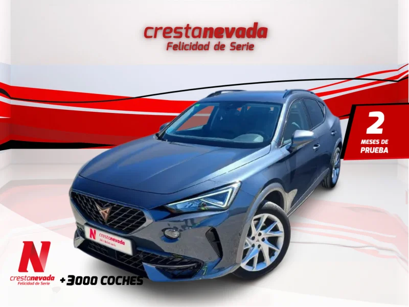 Imagen de cupra Formentor