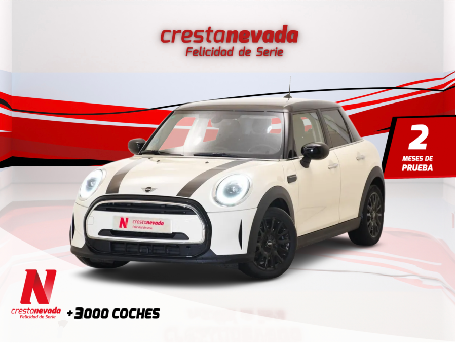 Imagen de Mini MINI