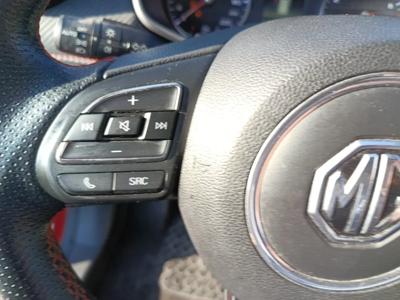 Imagen de Mg ZS