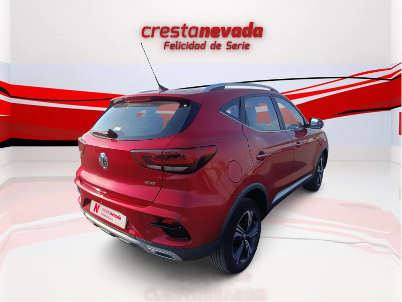 Imagen de Mg ZS