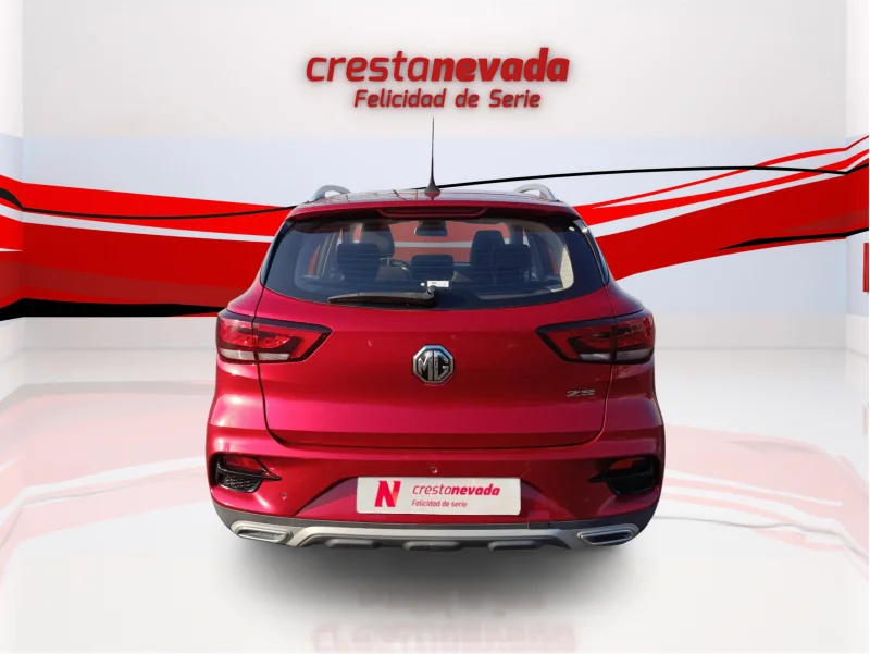 Imagen de Mg ZS