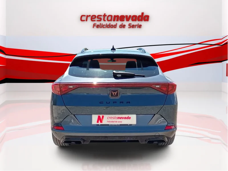 Imagen de cupra Formentor