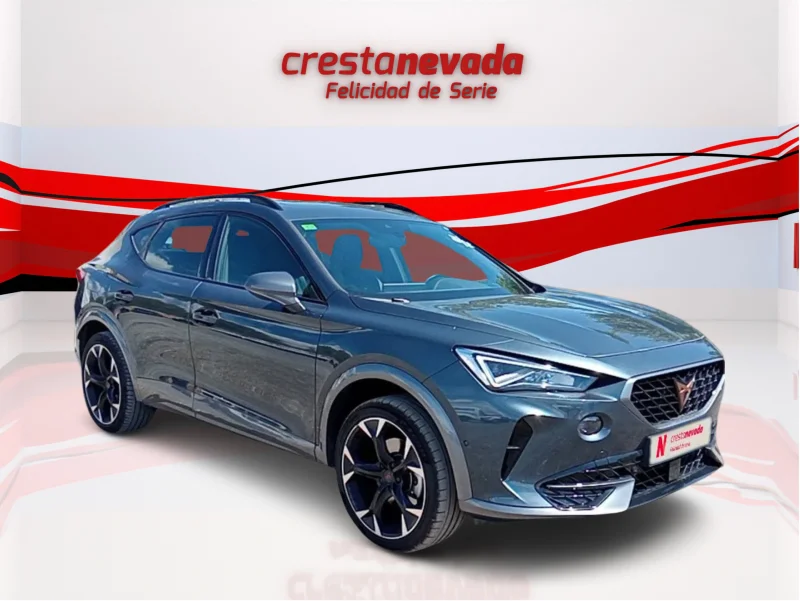 Imagen de cupra Formentor