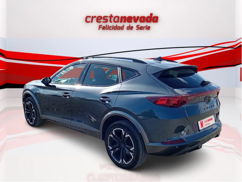 Imagen de cupra Formentor