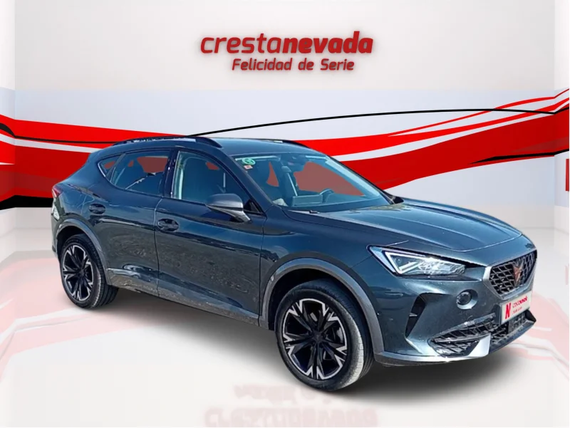 Imagen de cupra Formentor