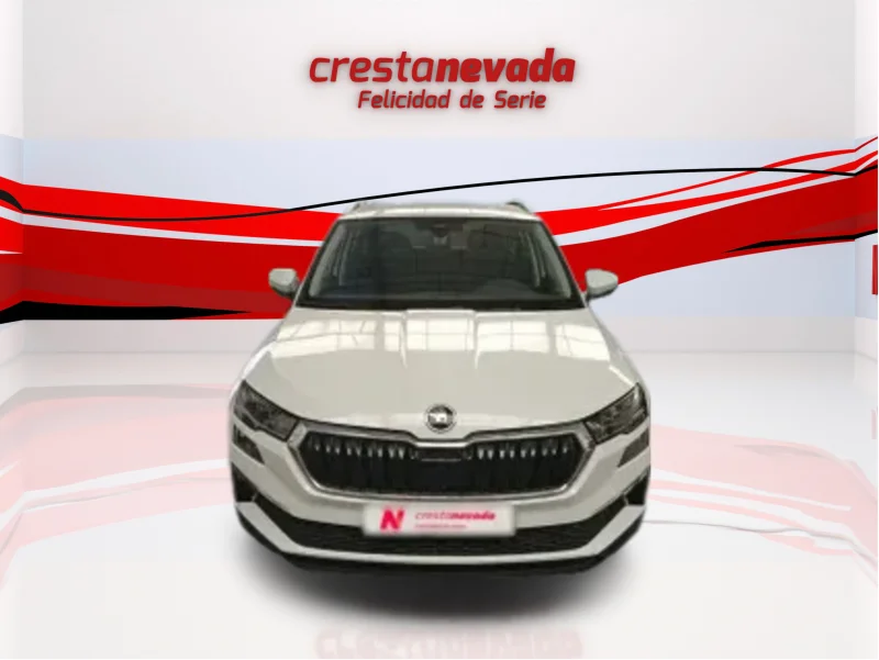 Imagen de Skoda Karoq