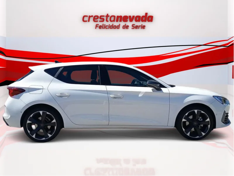 Imagen de cupra León
