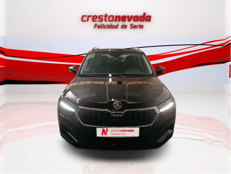 Imagen de Skoda Karoq
