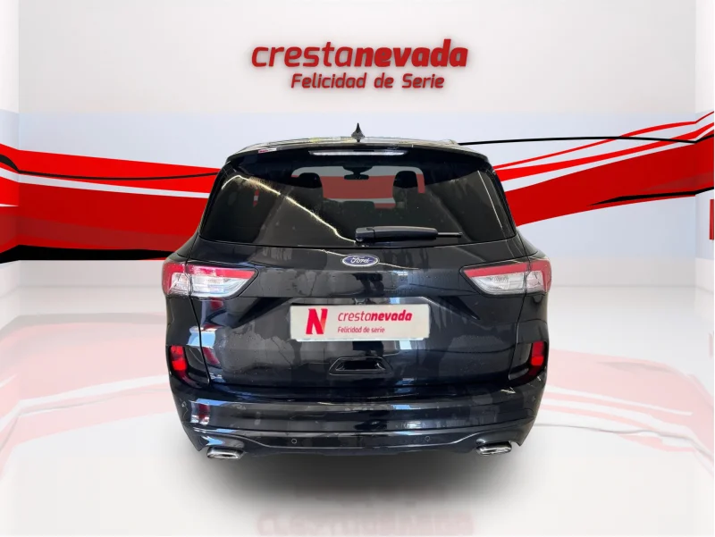 Imagen de Ford Kuga
