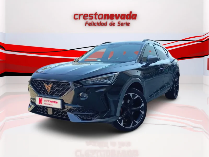 Imagen de cupra Formentor