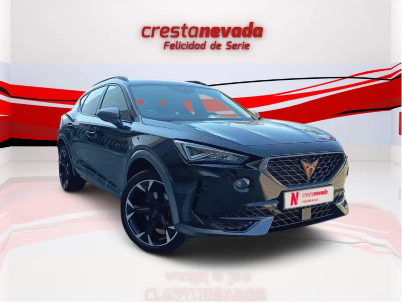 Imagen de cupra Formentor