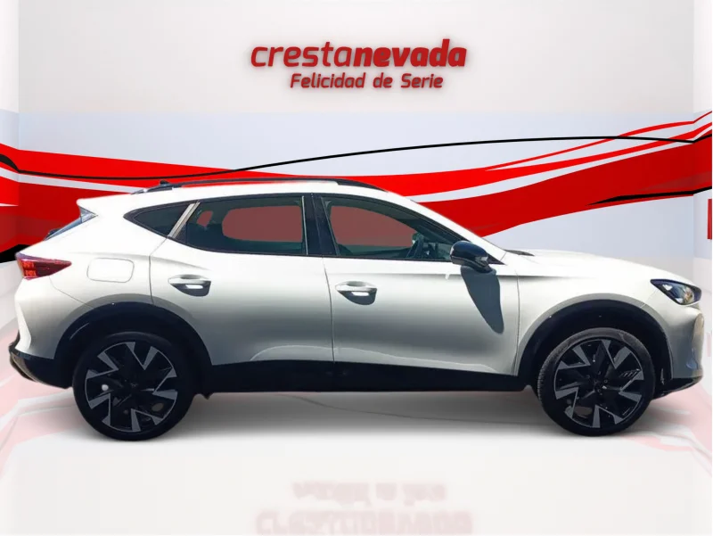 Imagen de cupra Formentor
