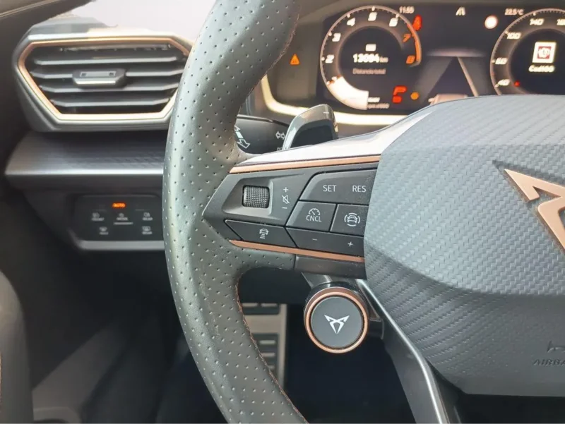 Imagen de cupra Formentor