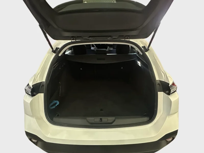 Imagen de Peugeot 308