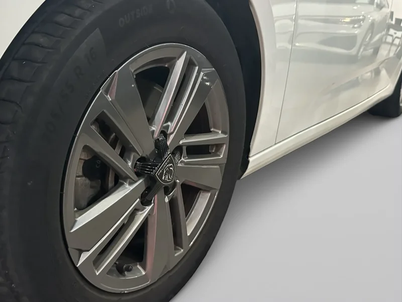 Imagen de Peugeot 308
