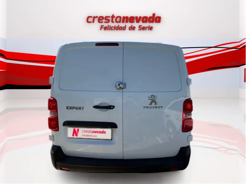 Imagen de Peugeot Expert