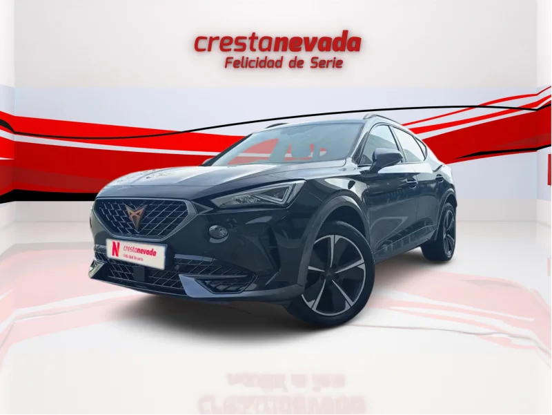 Imagen de cupra Formentor