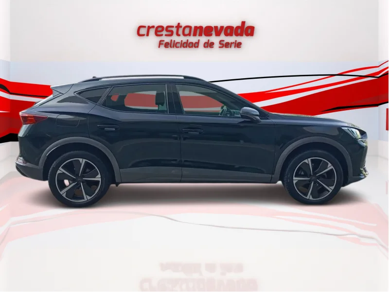 Imagen de cupra Formentor