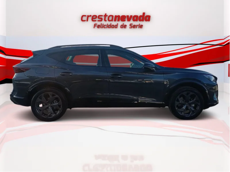 Imagen de cupra Formentor