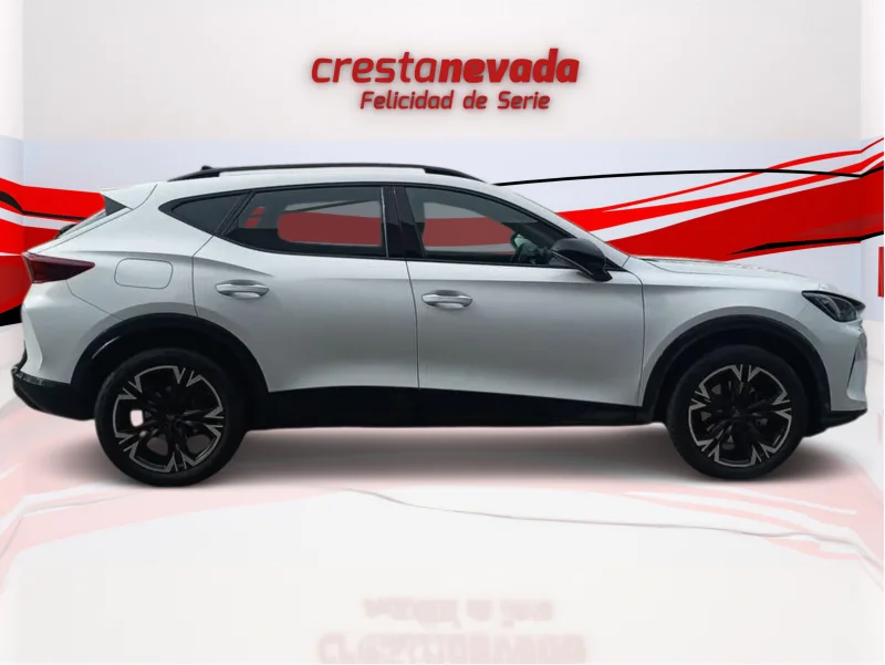 Imagen de cupra Formentor