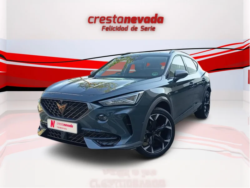 Imagen de cupra Formentor