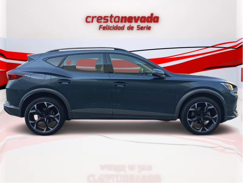Imagen de cupra Formentor