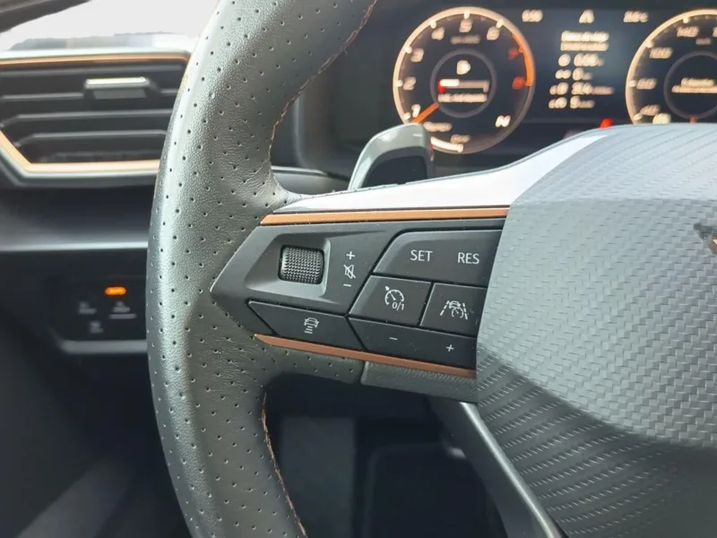 Imagen de cupra Formentor