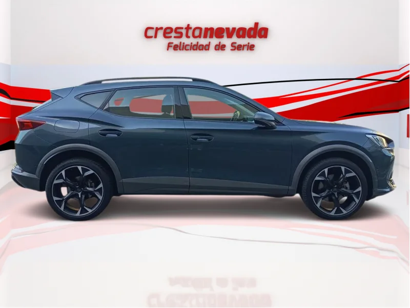 Imagen de cupra Formentor