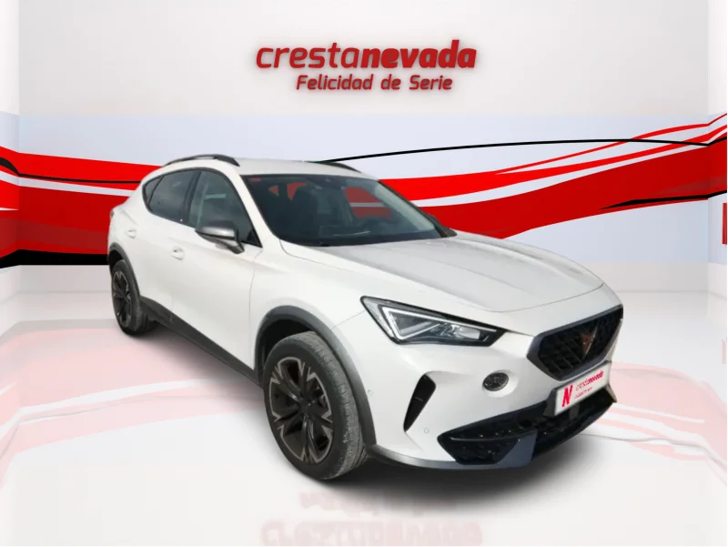 Imagen de cupra Formentor
