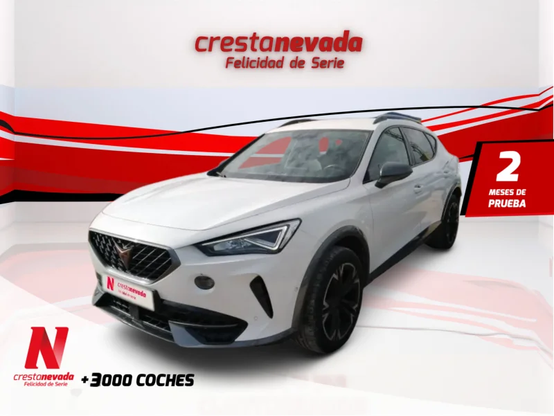 Imagen de cupra Formentor