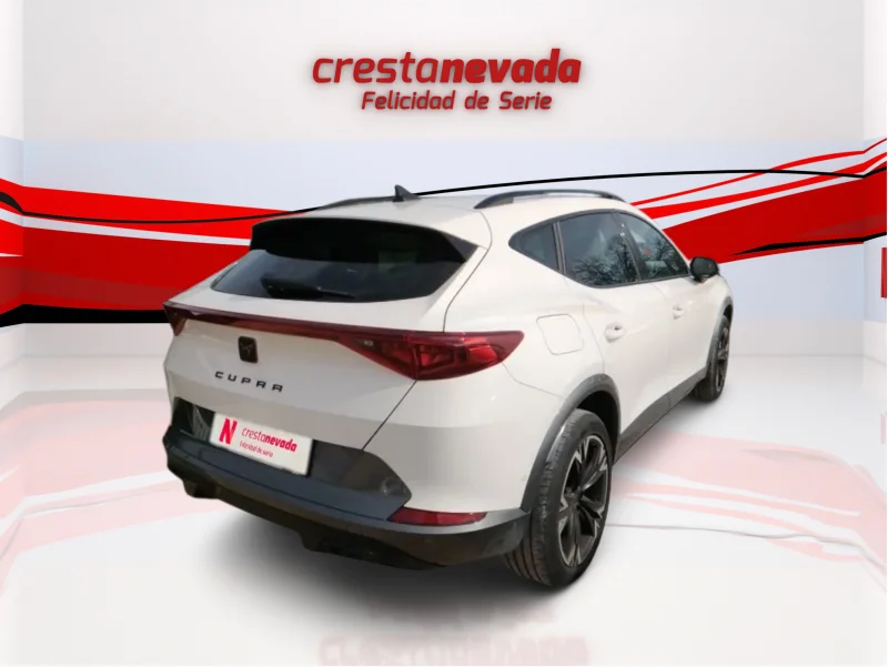 Imagen de cupra Formentor