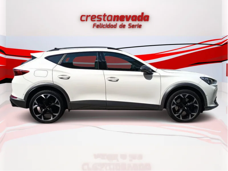 Imagen de cupra Formentor