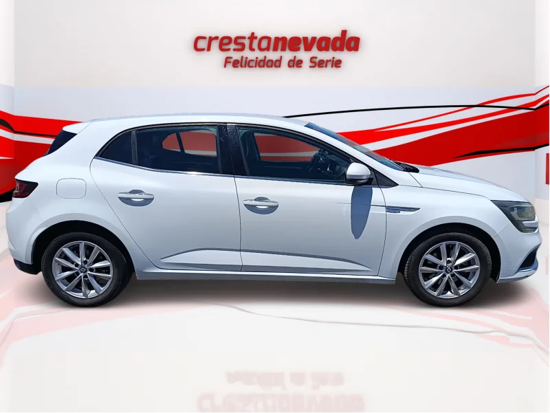 Imagen de Renault Mégane