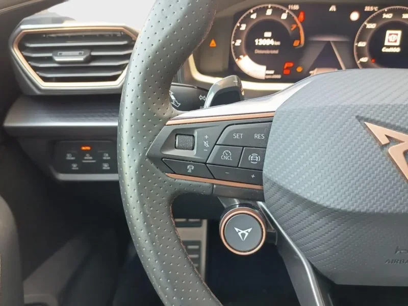 Imagen de cupra Formentor
