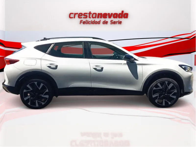 Imagen de cupra Formentor