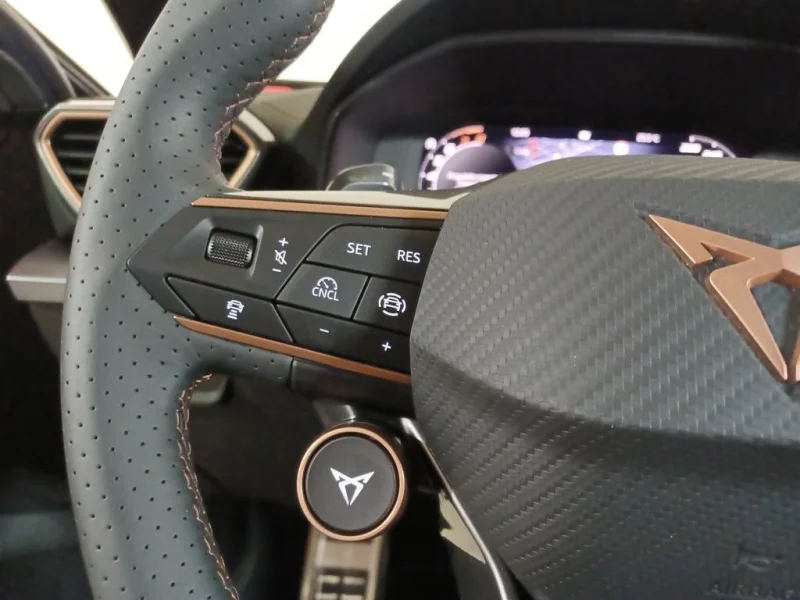 Imagen de cupra León