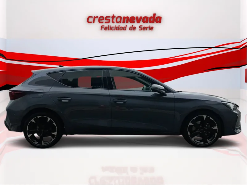 Imagen de cupra León