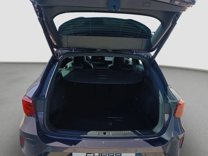 Imagen de cupra León