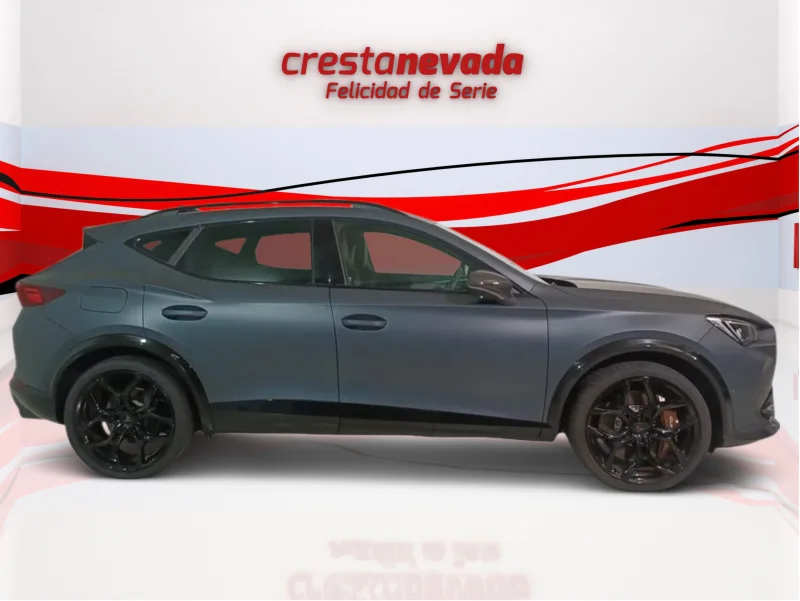 Imagen de cupra Formentor