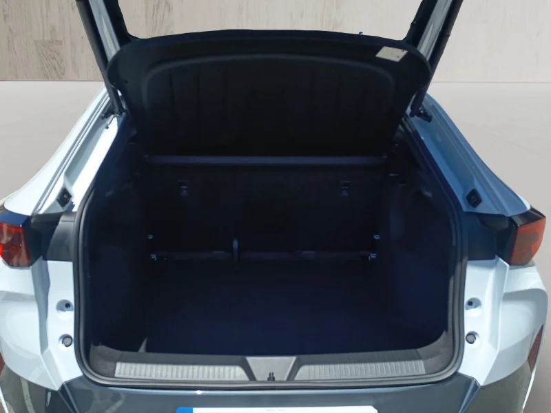 Imagen de cupra Tavascan